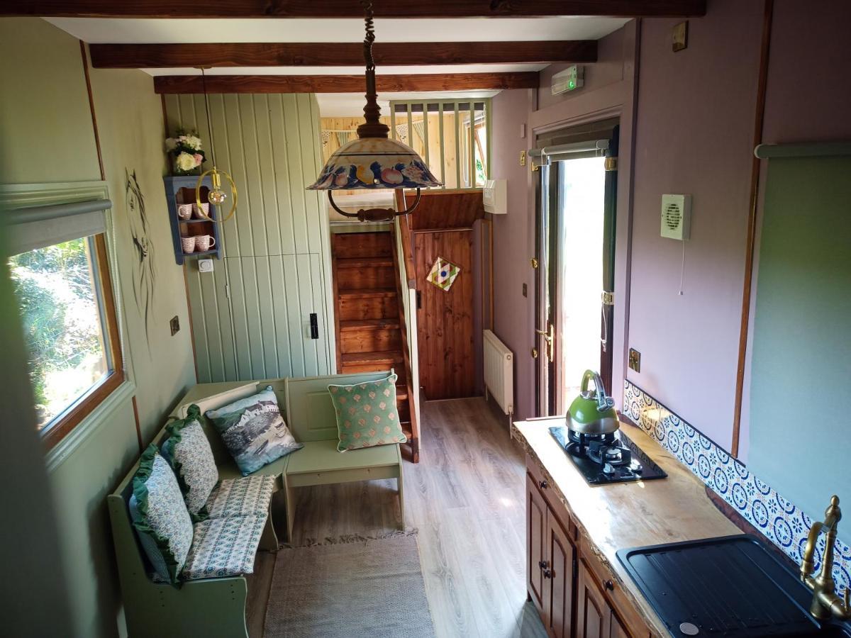 Glasson Glamping Farm Athlone Exteriör bild